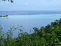 Thumbnail for Island Kea
